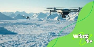 Greenland surveillance directive 2025: what you need to know