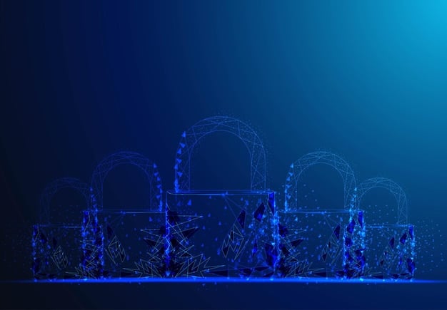 Navigating the New January 2025 E-commerce Security Updates: A US Business Guide